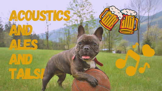 [4/6] Acoustics and Ales and Tails! @ Elm Street Park (Bethesda, MD)
